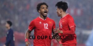 Cú Đúp Là Gì? - Cùng Khám Phá Thuật Ngữ Hấp Dẫn Này