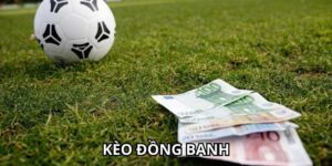 Soi Kèo Đồng Banh 7M Chuẩn Xác – Bí Quyết Từ Cao Thủ Cá Cược