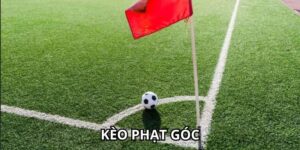 Cách Đặt Kèo Phạt Góc Tại 7M Chính Xác Nhất Cho Người Mới