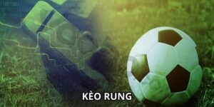 Chia Sẻ Bí Kíp Bắt Kèo Rung 7M Chính Xác Cho Người Mới